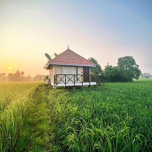 Farm Hut Middle of Paddy field
